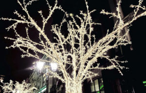 arbol de navidad en Marbella