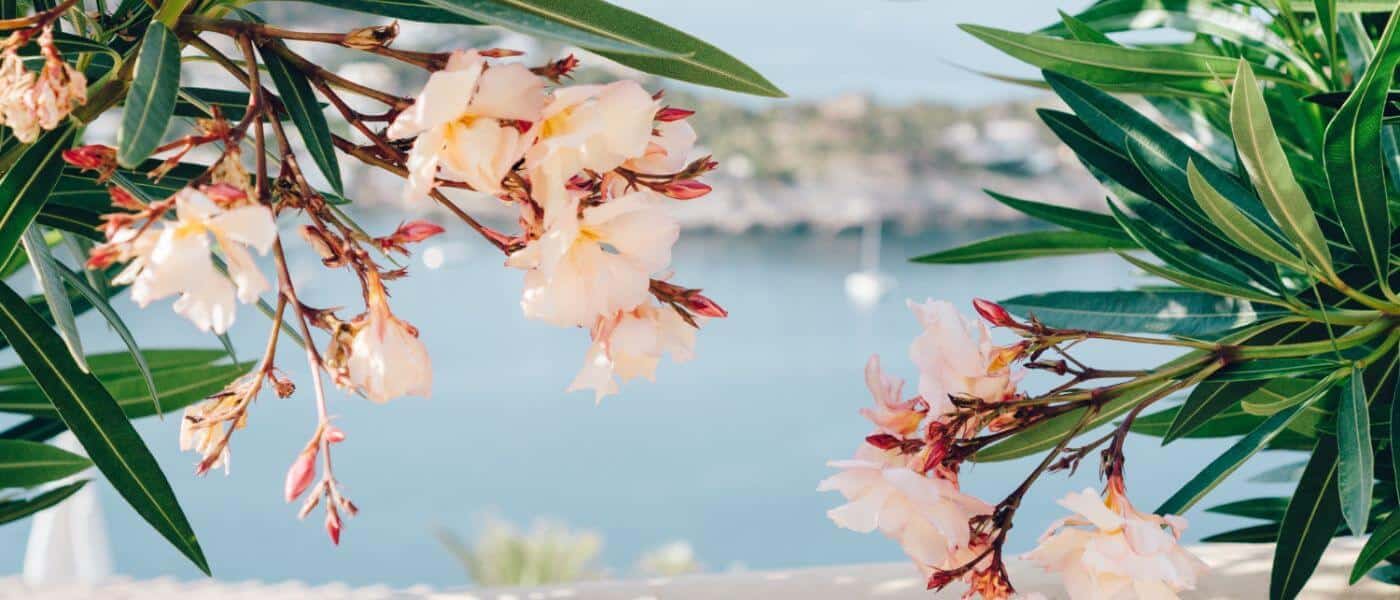 ¿Qué hacer en Marbella en primavera?